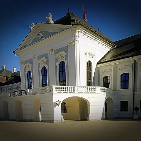 Dominant With Free Parking For Preregistered Drivers & Garage With Cctv 招待所 布拉迪斯拉发