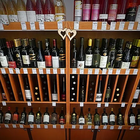 Dominant With Free Parking For Preregistered Drivers & Garage With Cctv 招待所 布拉迪斯拉发