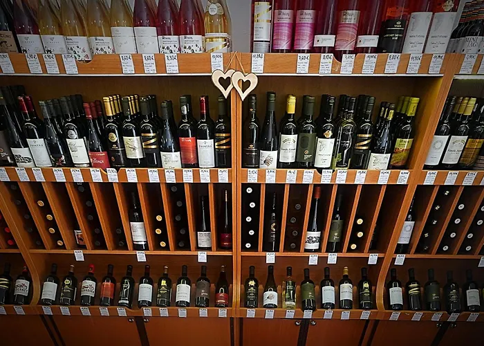 Dominant With Free Parking For Preregistered Drivers & Garage With Cctv Guest house Bratislava