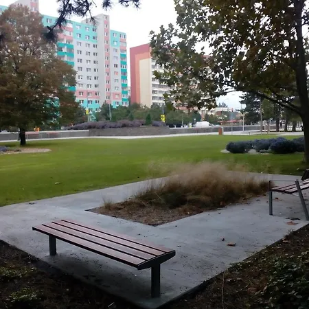 بيت ضيافة Dominant With Free Parking For Preregistered Drivers & Garage With Cctv 3*